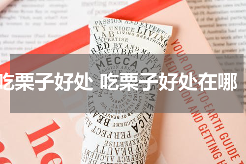 吃栗子好处 吃栗子好处在哪