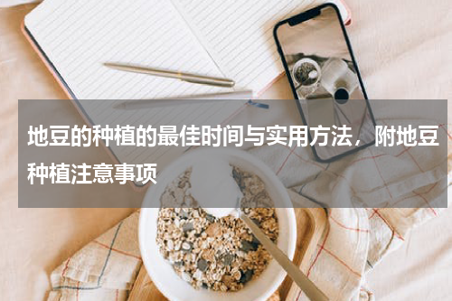 地豆的种植的最佳时间与实用方法，附地豆种植注意事项