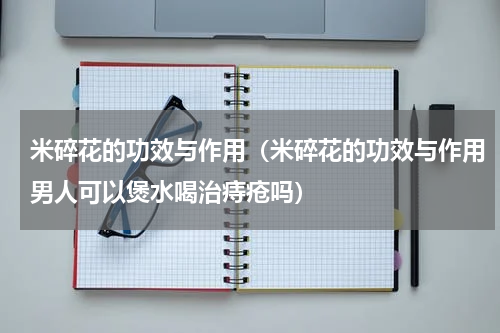 米碎花的功效与作用（米碎花的功效与作用男人可以煲水喝治痔疮吗）