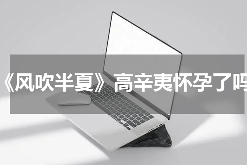 《风吹半夏》高辛夷怀孕了吗