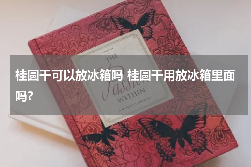 桂圆干可以放冰箱吗 桂圆干用放冰箱里面吗?