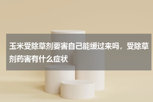玉米受除草剂要害自己能缓过来吗，受除草剂药害有什么症状