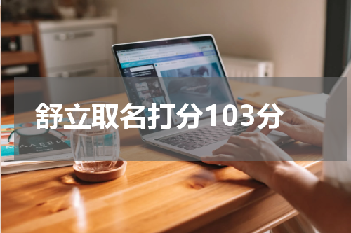 舒立取名打分103分