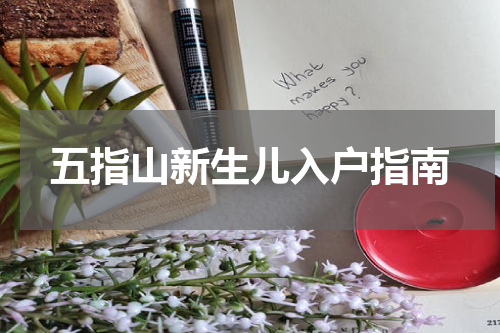 五指山新生儿入户指南