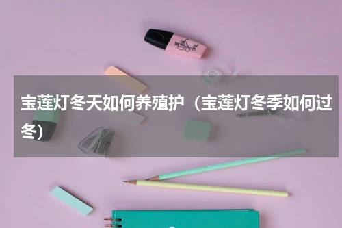 宝莲灯冬天如何养殖护（宝莲灯冬季如何过冬）