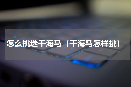怎么挑选干海马（干海马怎样挑）