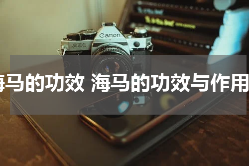 海马的功效 海马的功效与作用