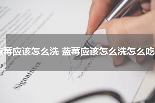 蓝莓应该怎么洗 蓝莓应该怎么洗怎么吃