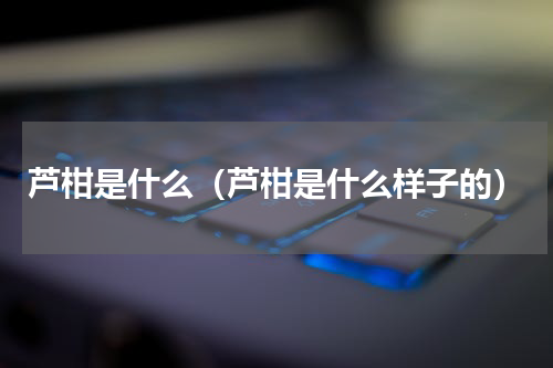 芦柑是什么（芦柑是什么样子的）