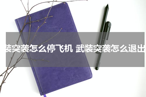 武装突袭怎么停飞机 武装突袭怎么退出