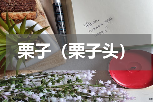 栗子（栗子头）