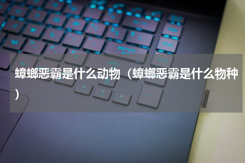 蟑螂恶霸是什么动物（蟑螂恶霸是什么物种）