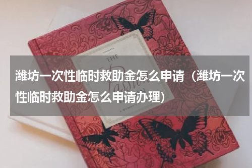 潍坊一次性临时救助金怎么申请（潍坊一次性临时救助金怎么申请办理）