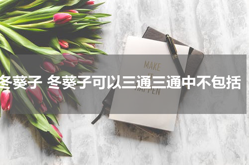冬葵子 冬葵子可以三通三通中不包括