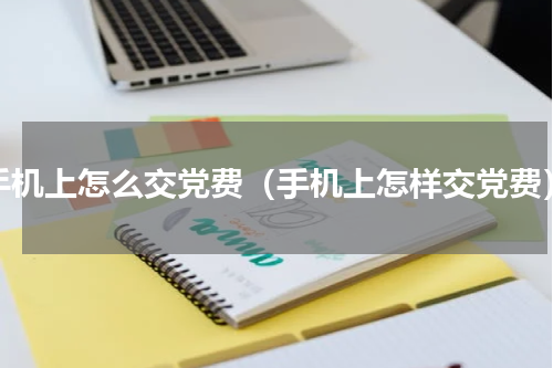 手机上怎么交党费（手机上怎样交党费）