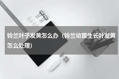 铃兰叶子发黄怎么办（铃兰幼苗生长叶发黄怎么处理）