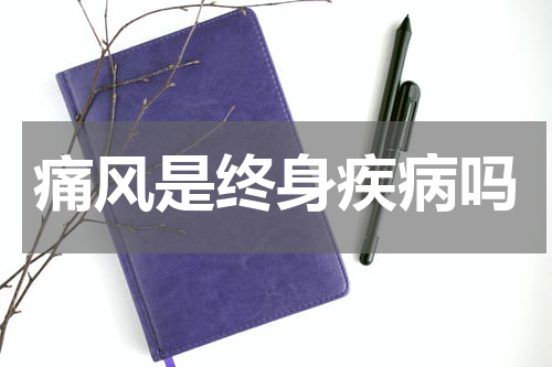 痛风是终身疾病吗