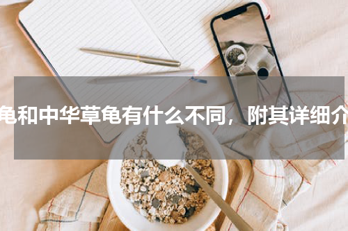 石龟和中华草龟有什么不同，附其详细介绍