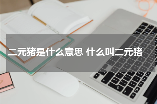 二元猪是什么意思 什么叫二元猪