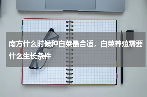 南方什么时候种白菜最合适，白菜养殖需要什么生长条件