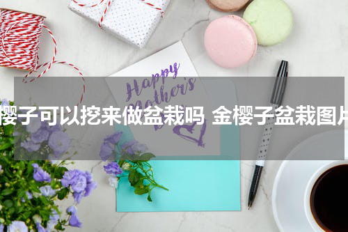 金樱子可以挖来做盆栽吗 金樱子盆栽图片