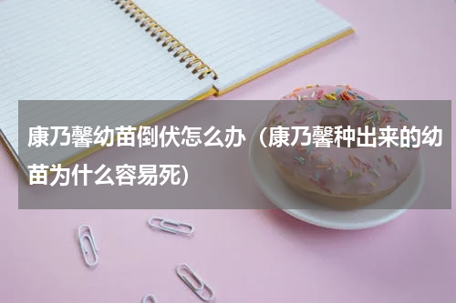 康乃馨幼苗倒伏怎么办（康乃馨种出来的幼苗为什么容易死）