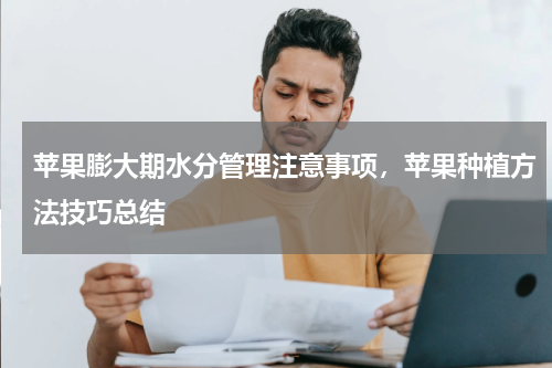 苹果膨大期水分管理注意事项，苹果种植方法技巧总结