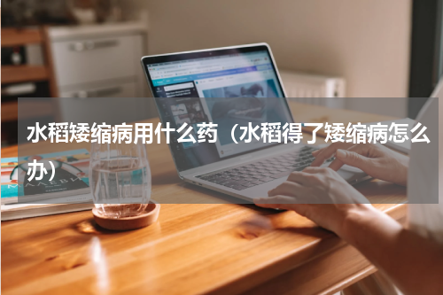 水稻矮缩病用什么药（水稻得了矮缩病怎么办）