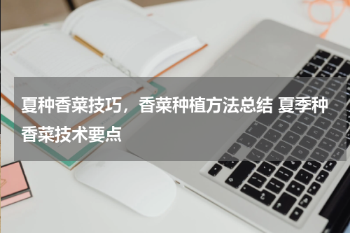 夏种香菜技巧，香菜种植方法总结 夏季种香菜技术要点