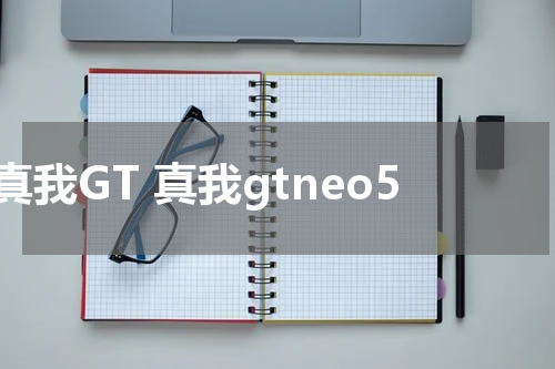 真我GT 真我gtneo5