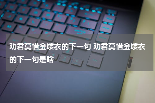 劝君莫惜金缕衣的下一句 劝君莫惜金缕衣的下一句是啥
