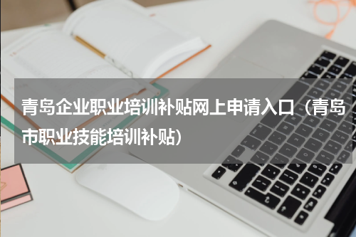 青岛企业职业培训补贴网上申请入口（青岛市职业技能培训补贴）