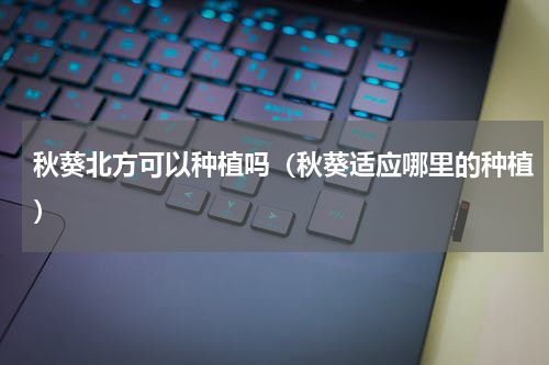 秋葵北方可以种植吗（秋葵适应哪里的种植）
