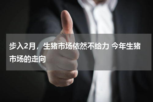 步入2月，生猪市场依然不给力 今年生猪市场的走向