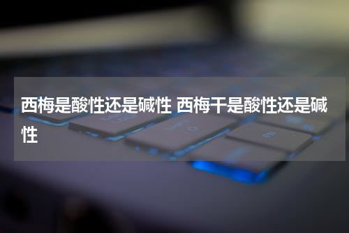 西梅是酸性还是碱性 西梅干是酸性还是碱性
