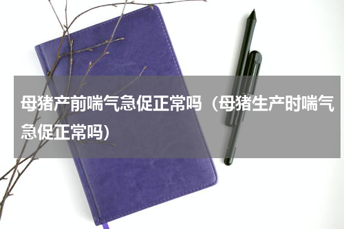 母猪产前喘气急促正常吗（母猪生产时喘气急促正常吗）