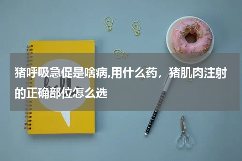 猪呼吸急促是啥病,用什么药，猪肌肉注射的正确部位怎么选