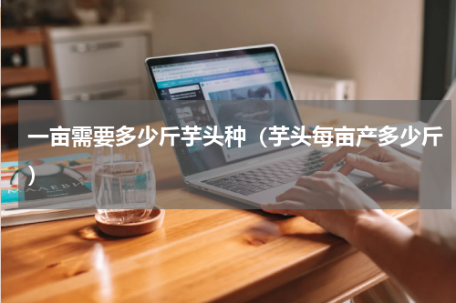 一亩需要多少斤芋头种（芋头每亩产多少斤）