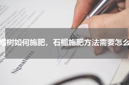 石榴树如何施肥，石榴施肥方法需要怎么办