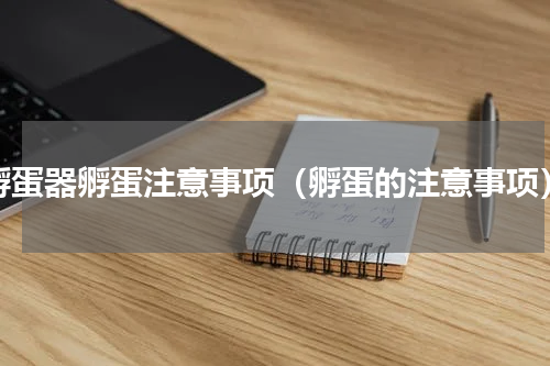 孵蛋器孵蛋注意事项（孵蛋的注意事项）