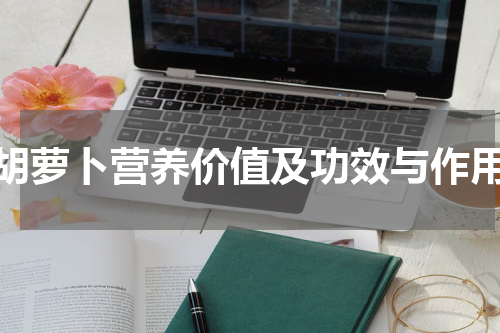 胡萝卜营养价值及功效与作用