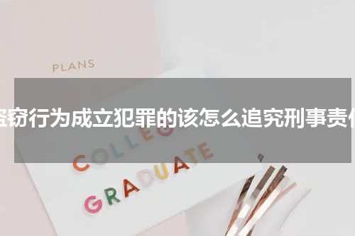 盗窃行为成立犯罪的该怎么追究刑事责任