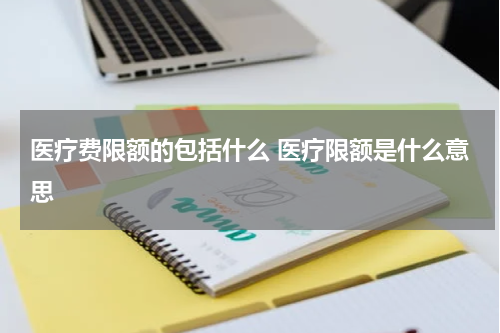 医疗费限额的包括什么 医疗限额是什么意思