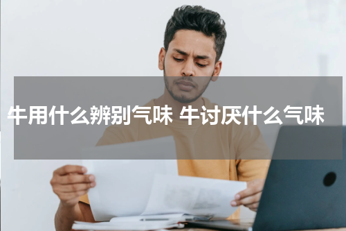 牛用什么辨别气味 牛讨厌什么气味