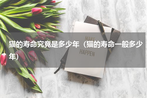 猫的寿命究竟是多少年（猫的寿命一般多少年）