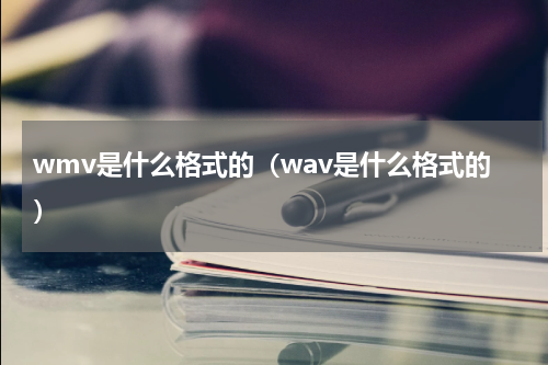 wmv是什么格式的（wav是什么格式的）