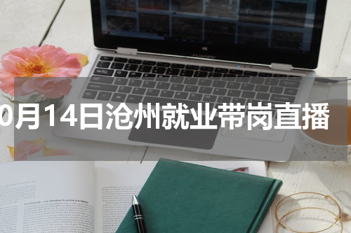 10月14日沧州就业带岗直播