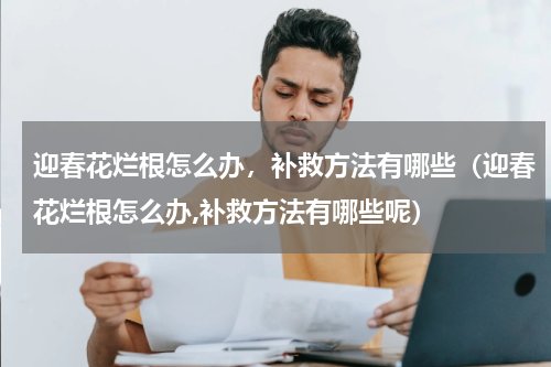 迎春花烂根怎么办，补救方法有哪些（迎春花烂根怎么办,补救方法有哪些呢）