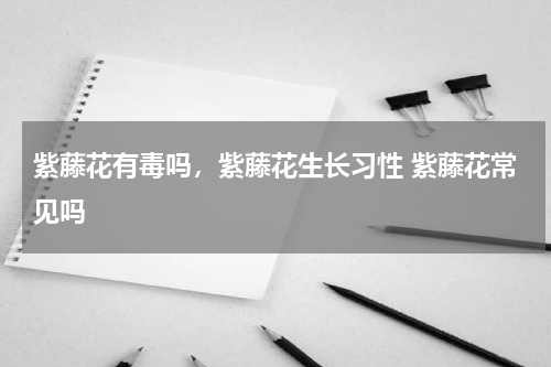 紫藤花有毒吗，紫藤花生长习性 紫藤花常见吗