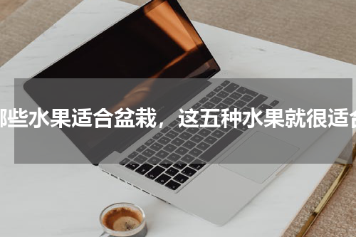 哪些水果适合盆栽，这五种水果就很适合